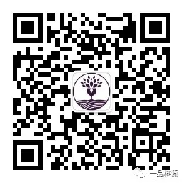 QR code anti-counterfeiting traceability system